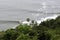 Mangrove areas tidal beach forest