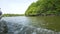 Mangrove Boat Tour Through the Channels of the Mangrove Forest in Indonesia