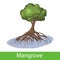 Mangrove cartoon tree