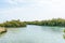 Mangrove channel Avioennia marina sea sand coast shore. Forest in Ras Mohammed National Park. Sharm el Sheikh, Sinai , Egypt