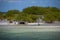 Mangrove fields near Cayo Blanco, Cuba