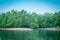 Mangrove forest and backwater, Sundarban, India