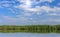 Mangrove forest and blue sky