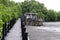 Mangrove forest Boardwalk