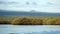 Mangrove forest in the Galapagos Islands