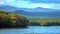 Mangrove forest in the Galapagos Islands