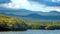 Mangrove forest in the Galapagos Islands