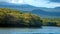 Mangrove forest in the Galapagos Islands