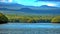 Mangrove forest in the Galapagos Islands