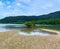 Mangrove forest has beautiful beaches.Thailand.