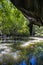 The mangrove forest on the Malaysian island Langkawi. Dense vegetation in the Kilim Geoforest Park at Malaysia. The green leaves