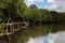 Mangrove forest with nature trails bridge