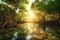 Mangrove forest at sunrise.Mangrove forest view