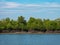 Mangrove forest in the Tanintharyi Region, Myanmar