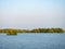 Mangrove forest in Thailand