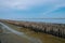 Mangrove forest without trees. Bamboo barrier between the sea an