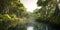 Mangrove forest view, panorama of dark wild jungle and water, generative AI