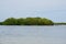 Mangrove forest, Yucatan peninsula, September 2018.