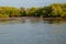 Mangrove forests against blue sky at the shores of Shela Beach in Lamu Island, Kenya