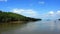 Mangrove Forests in Phuket, Thailand