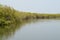 Mangrove forests in the Saloum river Delta area, Senegal, West Africa