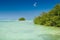 Mangrove green forest in a blue ocean in summer