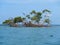 Mangrove island with sea birds