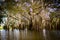 Mangrove at a lagoon near Amazon River