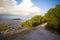 Mangrove Path View in the Florida Keys