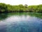 Mangrove river in central america mexico