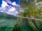 Mangrove roots Curacao views