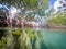 Mangrove roots Curacao views