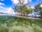 Mangrove roots Curacao views