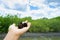 Mangrove\'s seed on hand at mangrove forest