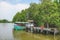 Mangrove scenery at Rak Samae bridge in Rayong