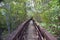 Mangrove swamp boardwalk