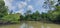 Mangrove swamp forests along the river bank of the Borneo Island, Malaysia