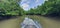 Mangrove swamp forests along the river bank of the Borneo Island, Malaysia