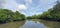 Mangrove swamp forests along the river bank of the Borneo Island, Malaysia