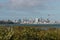 Mangrove swamps with Auckland skyline