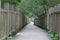 Mangrove trail in Tamshui, Taipei