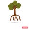 Mangrove tree color flat icon for web and mobile design