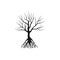 Mangrove tree without leaves vector