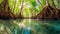 Mangrove trees along the turquoise green water in the stream. mangrove forest