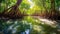 Mangrove trees along the turquoise green water in the stream. mangrove forest