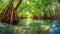 Mangrove trees along the turquoise green water in the stream. mangrove forest