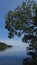 Mangrove trees and forest of indonesia sunny day