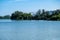 Mangrove trees and other vegetation growing on the edge of Marapendi Lagoon, in Barra da Tijuca, Rio de Janeiro..