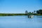 Mangrove trees and other vegetation growing on the edge of Marapendi Lagoon, in Barra da Tijuca, Rio de Janeiro