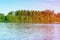 Mangrove trees and other vegetation growing on the edge of Marapendi Lagoon, in Barra da Tijuca, Rio de Janeiro. Colored light lea